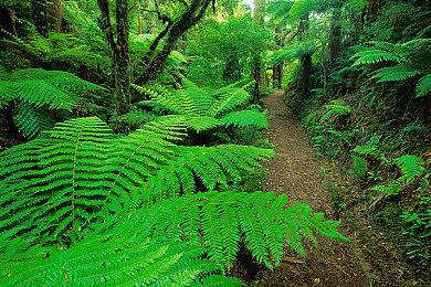 《光环：无限》XSS多人模式现已支持120FPS