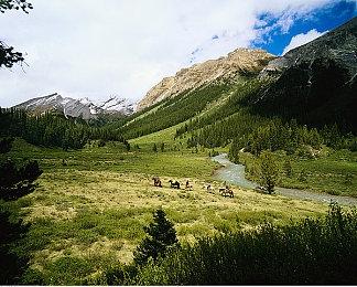 《怪物猎人：荒野》将带给玩家无缝衔接的狩猎体验